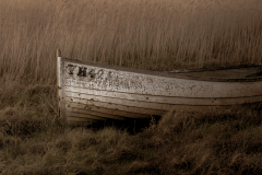 CA5D0956-HDR