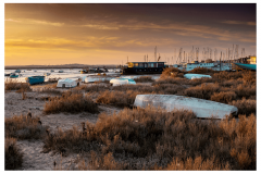 IMG_2331-border-shrink