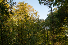 CA5D4894