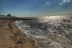 File 04-08-2017, 13 22 46