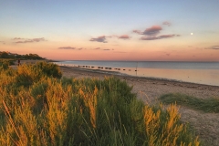 File 05-08-2017, 20 57 36