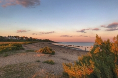 File 05-08-2017, 21 00 08