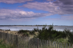 File 13-08-2017, 15 33 46