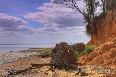 File 13-08-2017, 15 36 25