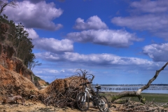 File 13-08-2017, 15 39 57