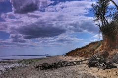 File 13-08-2017, 15 41 45