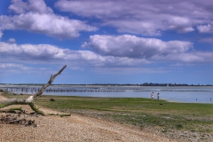 File 13-08-2017, 15 43 24