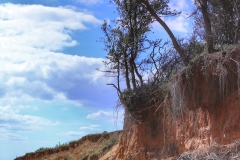 File 13-08-2017, 15 45 45