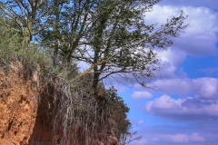 File 13-08-2017, 15 49 03