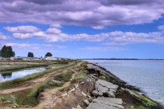 File 13-08-2017, 15 50 56