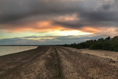 File 14-08-2017, 20 17 26