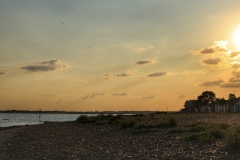 File 15-08-2017, 19 22 24