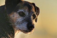 File 15-08-2017, 20 11 51