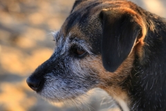 File 15-08-2017, 20 15 34