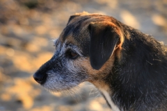 File 15-08-2017, 20 20 46