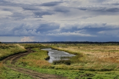 File 18-08-2017, 21 57 45