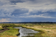 File 18-08-2017, 21 59 39