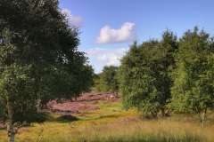 File 20-08-2017, 19 20 19