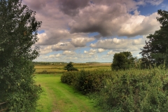 File 20-08-2017, 19 22 46