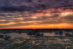 File 24-08-2017, 08 50 23