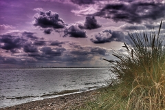 File 24-08-2017, 17 01 22