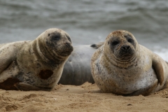 File 30-08-2017, 15 59 43