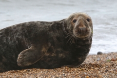 File 30-08-2017, 16 01 52