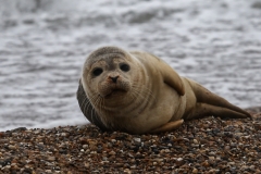 File 30-08-2017, 16 03 54