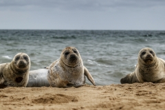 File 30-08-2017, 16 05 57