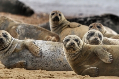 File 30-08-2017, 16 33 47