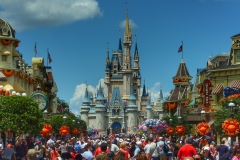 disney wed 15th