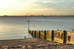 File 18-12-2017, 16 50 19