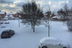 snow 1