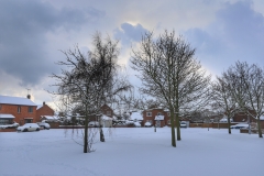 snow 2