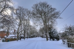 snow 3