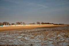 CA5D8505