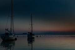 CA5D3365