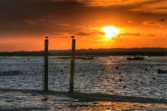 File 16-01-2018, 17 00 00