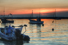 File 26-01-2018, 17 49 31 PS