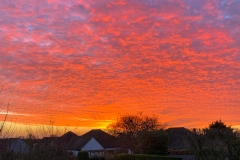 2019-01-14 07.43.07 EDIT