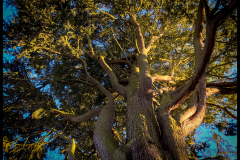 2018-07-03 20.08.04 HDR