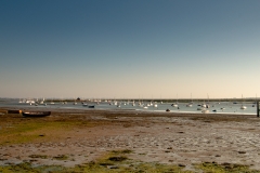 CA5D5207