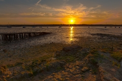 Tue 31st Untitled_HDR2 7317-7321