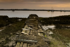 2018-03-24 15.48.36-3 LR edit 3