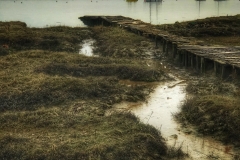 jetty 3