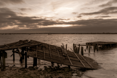 CA5D1202-HDR-2-sepia-sml