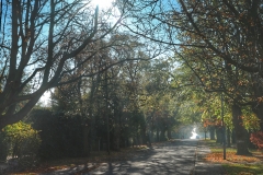 File 06-11-2017, 10 12 38