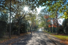 File 06-11-2017, 10 14 15