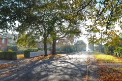 File 06-11-2017, 10 15 36