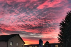 File 17-11-2017, 16 21 42